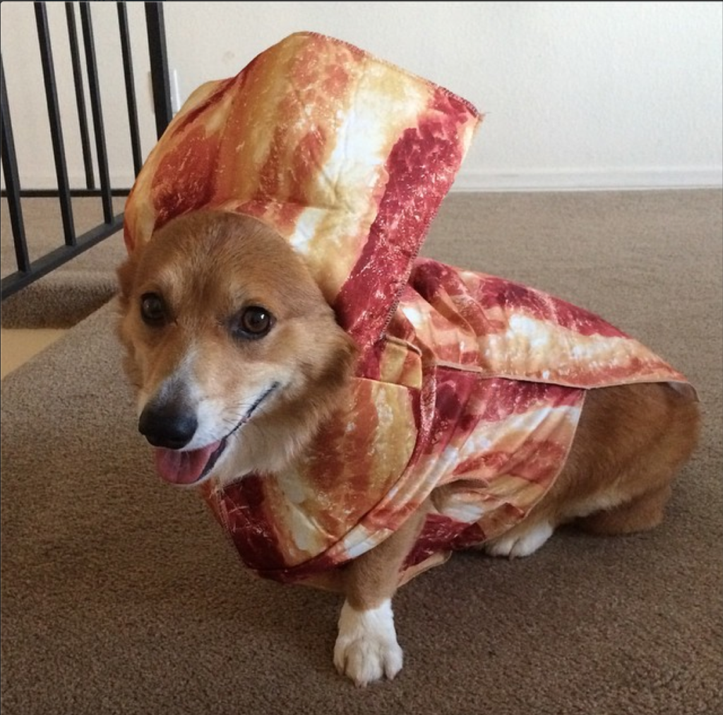 Getcorgi